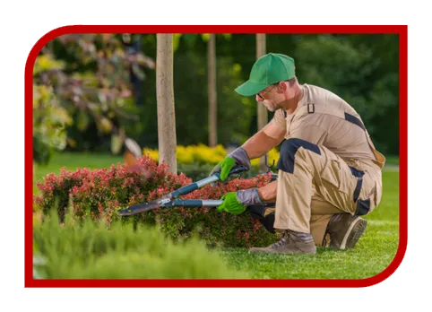 Criação de Site para Jardineiro